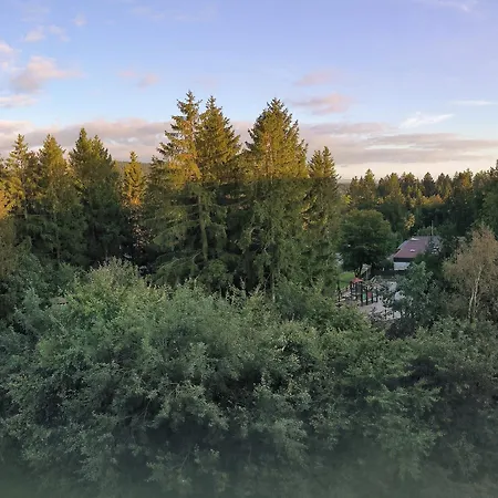 Harz High End Exklusiv 5 Sterne Dtv Appartement Goslar