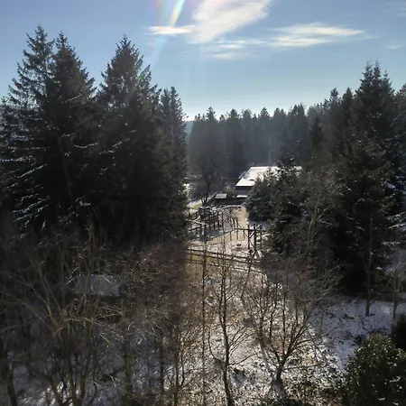 Harz High End Exklusiv 5 Sterne Dtv